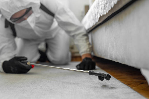 Professional Emergency Pest Control technician working in Lovettsville, VA