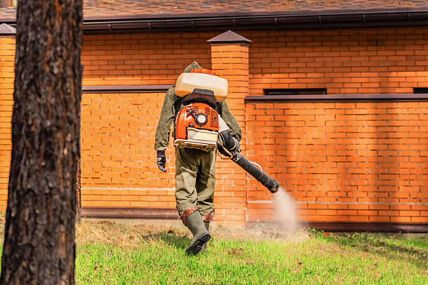 Trusted Rodent Control service in Lovettsville, VA - Nex Pest Control